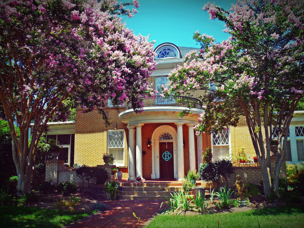 Beautiful home with flowering trees in hot Asheville real estate market.