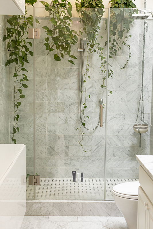 Modern tile shower enclosure with hanging plants.
Asheville home's market value